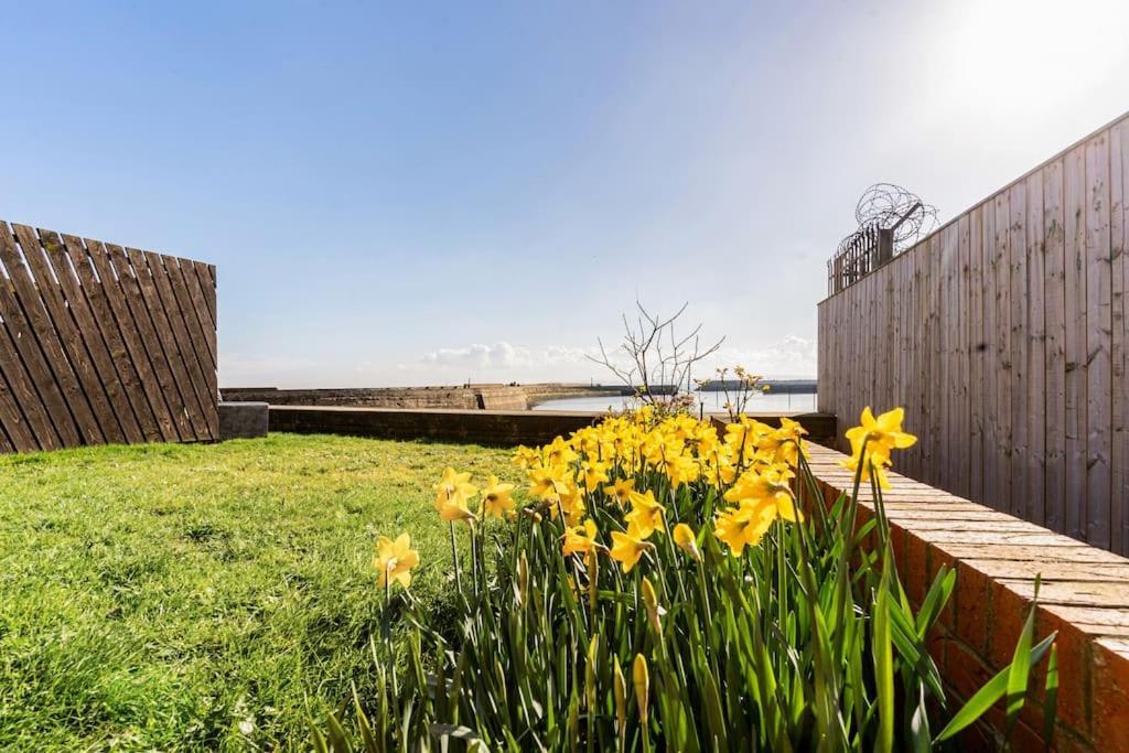 Stunning Ground Floor Hartlepool Marina Apartment Kültér fotó